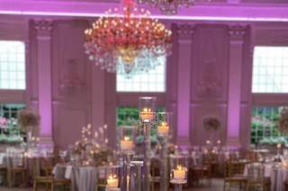 Enza Events - 34