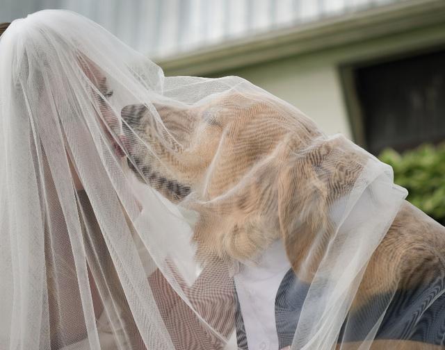Pamela Harvey Photography - 1
