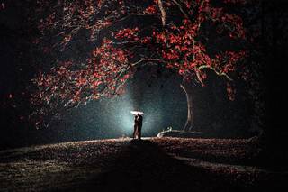 Alayna Waggoner Photography - 17