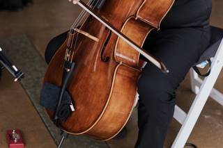 Eliana Strings - 12