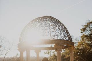 Shelly Pate Photography - 8