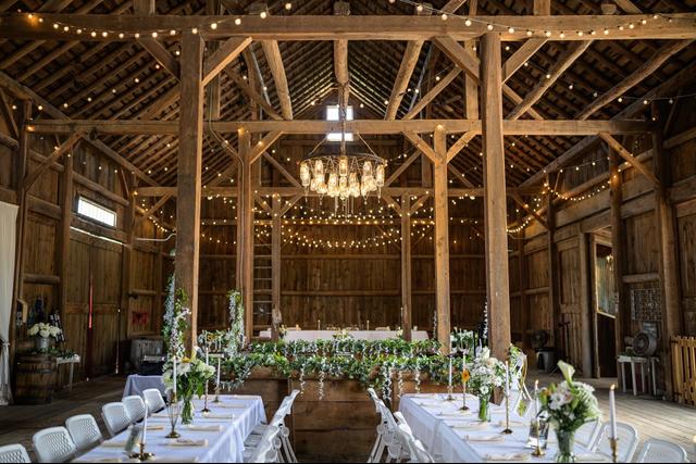 Mulberry Lane Farm - 1