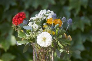 Faith Flowers - 24