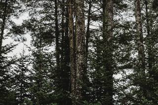 Brittney Fairfield Photography - 41