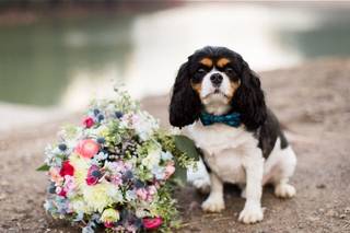 Jadie Jo Photography, LLC - 20