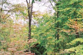 Hachland Hill - 6