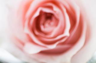 Nicole Leigh Photography - 12