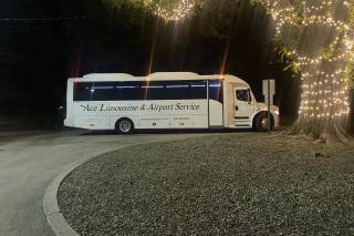 Ace Limousine & Airport Service - 11