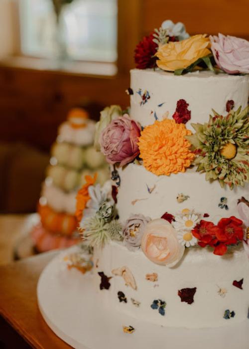 Panama City Cakes - 3