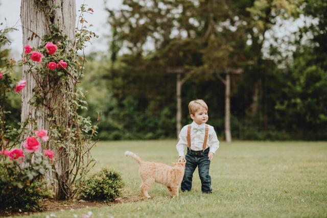 Always Photogenic LLC - 3