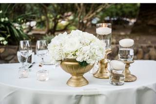 Tamara J Events - 3