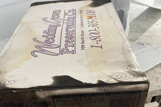 Wedding Gown Preservation Company - 5