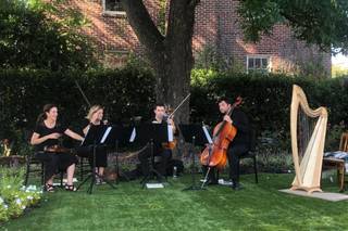Arioso Strings - 9