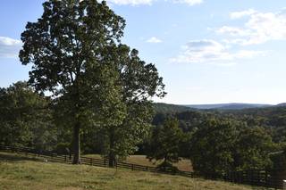 Lewallen Farms - 8