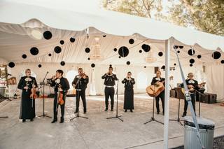 Time of Your Life Event Planning - 6