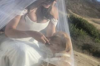 Cicada Bridal - 7