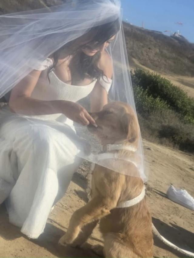 Cicada Bridal - 3