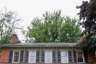 The Cypress House - 25