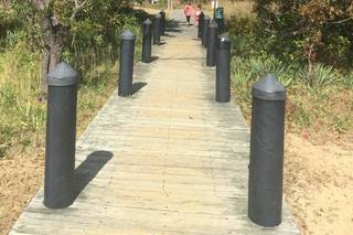 Chesapeake Bay Foundation - 52