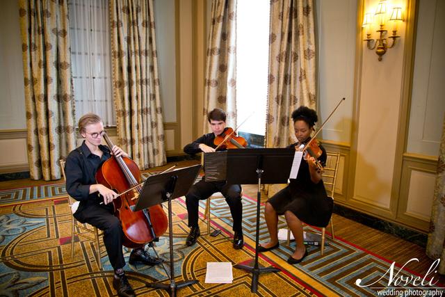 Upstate Strings Trio - 1