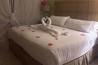 Melia Puerto Vallarta - 9