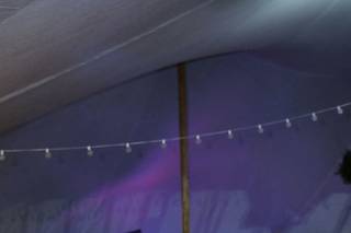 Pure Holiday Lighting - 6