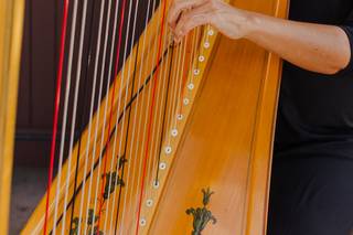 Harpist Lizary Rodriguez - 5