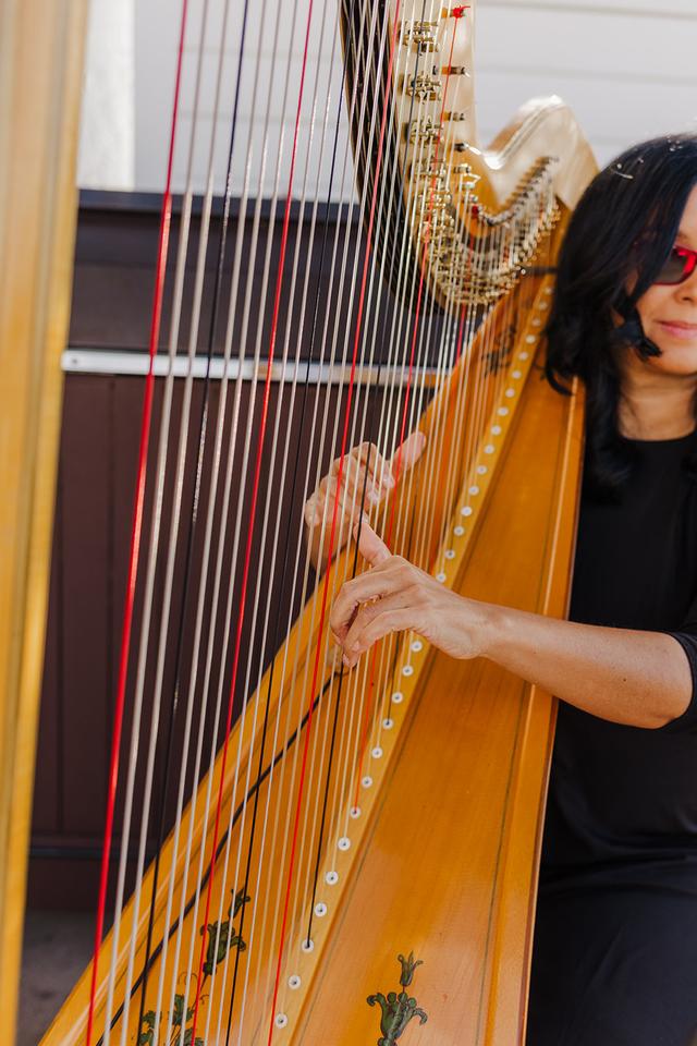Harpist Lizary Rodriguez - 2