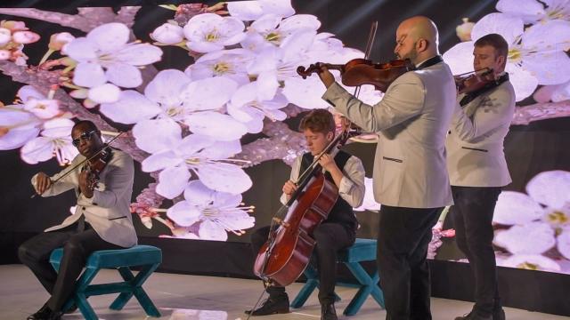 James Teal Violin - 1