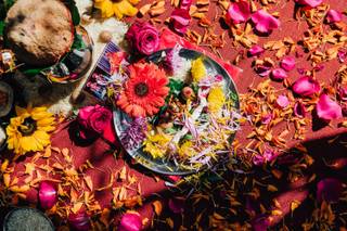 Mollie Crutcher Photography - 5