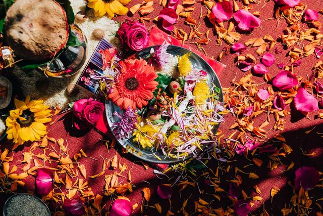 Mollie Crutcher Photography - 1