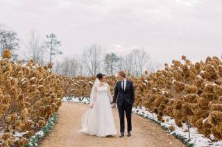 Molly Lichten Photography - 7