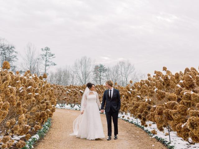 Molly Lichten Photography - 3