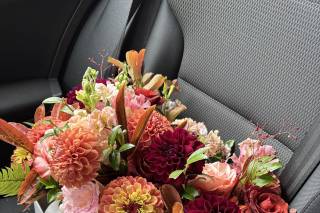 Bond in Bloom - 6