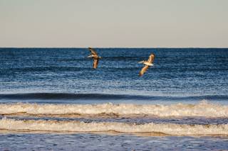 Matt Lusk Photography - 8