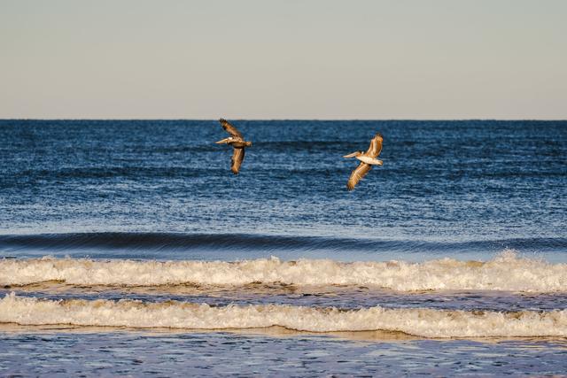 Matt Lusk Photography - 4
