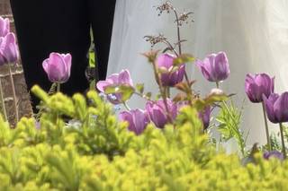 Bride & Blossom - 9