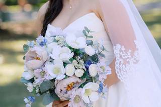 Carolyn Allen Photography - 8