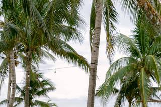 Blue Venado Beach Weddings - 17