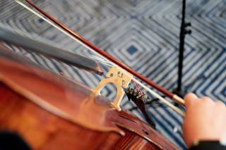 Terra Vista Strings - 22
