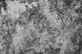 Cassia Karin Photography - 7