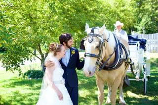 Wood Acres Farm - 40