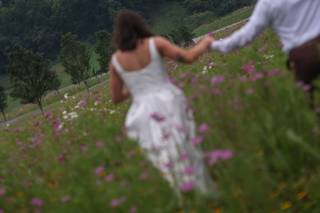IL Weddings & Events - 7