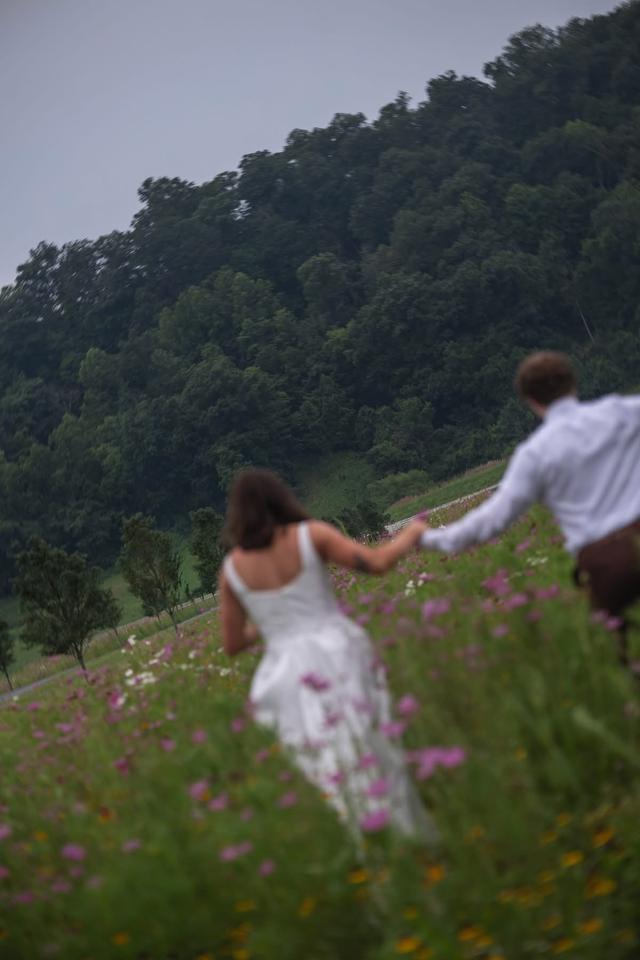 IL Weddings & Events - 2