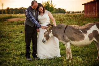 East Lynn Farm - 15