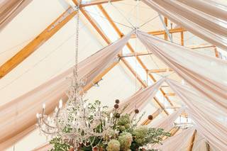 PDR Events by Pamela M. D'Orsi - 5