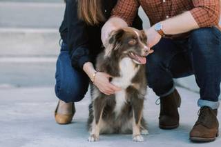 Meghan Baskin Photography - 9