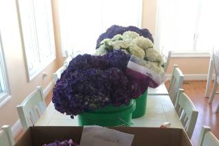 Norfolk Wholesale Floral - 20