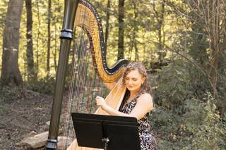 Professional Harpist - 6