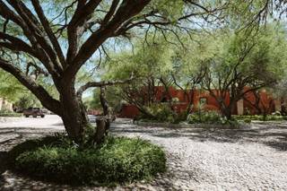 Ex-Hacienda La Petaca - 7